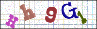 Image Verification